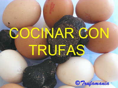 Cocina%20trufas01.jpg