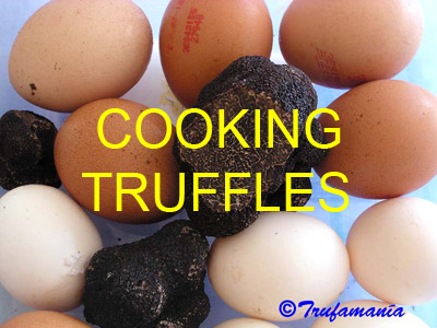 Truffles%20cooking.jpg